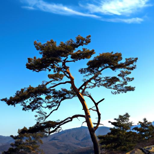 한글 도메인 변환 방법: 퓨니코드로 쉽게 인코딩하는 법